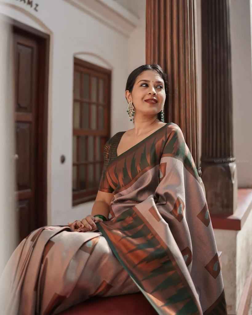 SOFT SILK JACQUARD BORDER WORK WITH RICH PALLU SAREE AT WHOLESALE PRICE