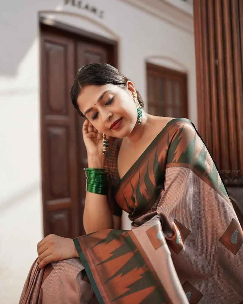 SOFT SILK JACQUARD BORDER WORK WITH RICH PALLU SAREE AT WHOLESALE PRICE
