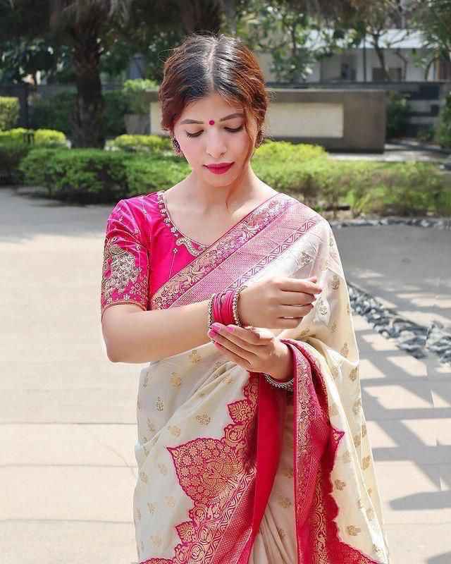 SOFT SILK RICH PALLU AND JACQUARD WORK SAREE CODE 4095 AT WHOLESALE PRICE