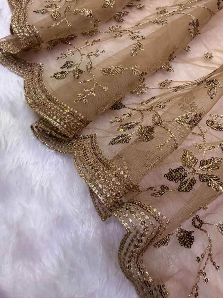 SOFT NET SEQUENCE AND ZARI EMBRODERY WORK SAREE 1